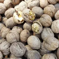 گردوی مغز سفید