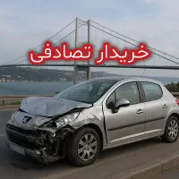 تصادفی برمیداریم