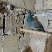 سلام سه تا غریب گیری