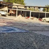 کارخانه قالیشویی ایران زمین آبیک وهمکاری بادفاتر