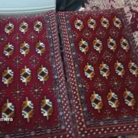 ۲ عدد پشتی