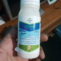 انواع سم کشاورزی وبذر گوجه آلمانی اصل وتضمین|خدمات باغبانی و درختکاری|شیراز, گل سرخ|دیوار