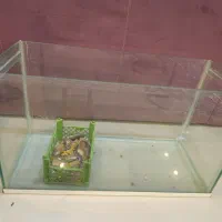 آکواریم همراه با وسایل
