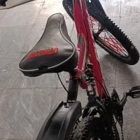 دوچرخه کوهستانی راش