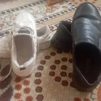 شیش عدد پشتی