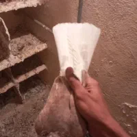 هفترنگ|پرنده|هامون, |دیوار