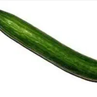 خیار تازه