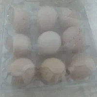 تخم مرغ محلی.