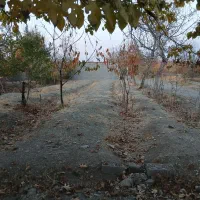 فروش زمین کشاورزی|فروش زمین و ملک کلنگی|گلمکان, |دیوار