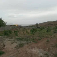 زمین باغی|فروش خانه و ویلا|آبعلی, |دیوار