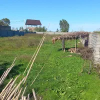 زمین ۱۶۰۰. متر جاده بهشهر زاغمرز زینوند|فروش زمین و ملک کلنگی|رستمکلا, |دیوار