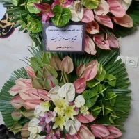 تاج گل|گل و گیاه طبیعی|تهران, خاوران|دیوار