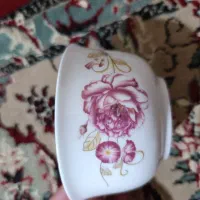 ظروف درحد نو