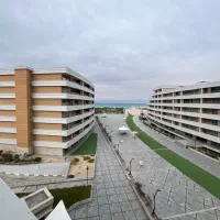 کرانه ساحلی دید جزیره