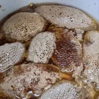 عسل کاملا طبیعی به شرط زنبور وحشی|خوردنی و آشامیدنی|اهواز, کمپلو جنوبی|دیوار