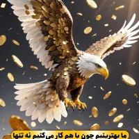 اینجا همه برای اهدافشون میجنگن