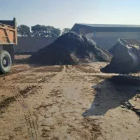 کود حیوانی خشک وخالص|خدمات باغبانی و درختکاری|ماهدشت, |دیوار