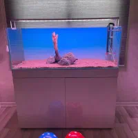 فروش آکواریوم حرفه ای
