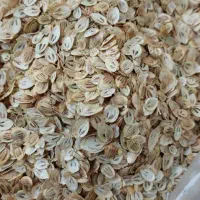گلپر اصل اردبیل بار اعلاء