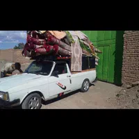 قالیشویی الماس