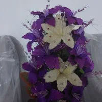 چند عدد لوازم خانگی