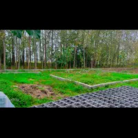 زمین در گیلان ۲۳۶متر دو بحر