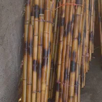 بامبو و عصا لوله‌‌. سند پلاست شده معمولی|صنایع دستی و سایر لوازم تزئینی|شلمان, |دیوار