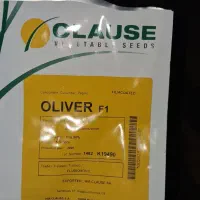 بذر خیار الیور