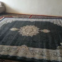 قالی ۱۲ متری