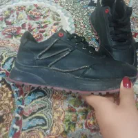 کفش|کیف، کفش، کمربند|باغ ملک, |دیوار