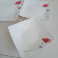 ظروف سرو وپذیرای|ظروف سرو و پذیرایی|بروجرد, |دیوار