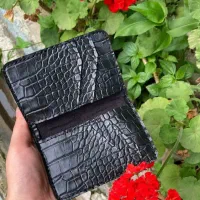 جا کارتی چرم|کیف، کفش، کمربند|آستانه اشرفیه, |دیوار