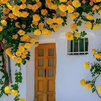 اجاره منزل ویلایی طبقه ۲