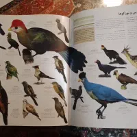کتاب نفیس دایره المعارف مصور آفرینش|کتاب و مجله تاریخی|تهران, صادقیه|دیوار