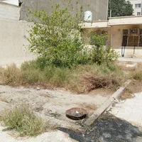 باغبانی و هرس|خدمات باغبانی و درختکاری|بندرعباس, |دیوار