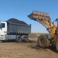 فروش کود گاوی مرغوب