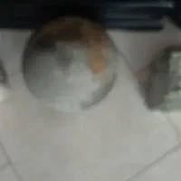 سنگ گردکروی