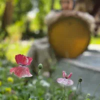 آموزش دفنوازی