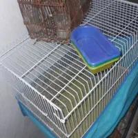 قفس سهره و قناری و پرون