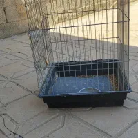قفس پرنده