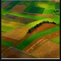 زمین چغادون|فروش دفتر صنعتی، کشاورزی، تجاری|دورود, |دیوار