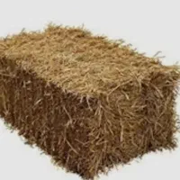 کاه و یونجه پرس