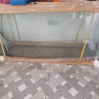 آکواریوم شرکتی