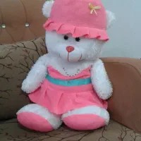 عروسک شاسخین