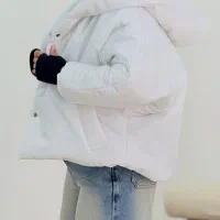 تدی جدید|لباس|بیرجند, |دیوار