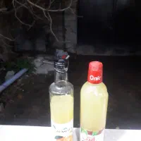 آب نارنج ورب انارورب آلوچه