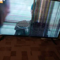 تلویزیون اکس ویژن|تلویزیون و پروژکتور|مشهد, کارده|دیوار