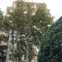 ۱۷۰ متر برج باغ اندرزگو‌ (نقشه بینظیر)|فروش آپارتمان|تهران, فرمانیه|دیوار