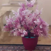 گلدان صورتی سالم