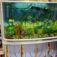 اگواریوم بالوازم برقی گل گلدون|ماهی|مشهد, ابوذر|دیوار